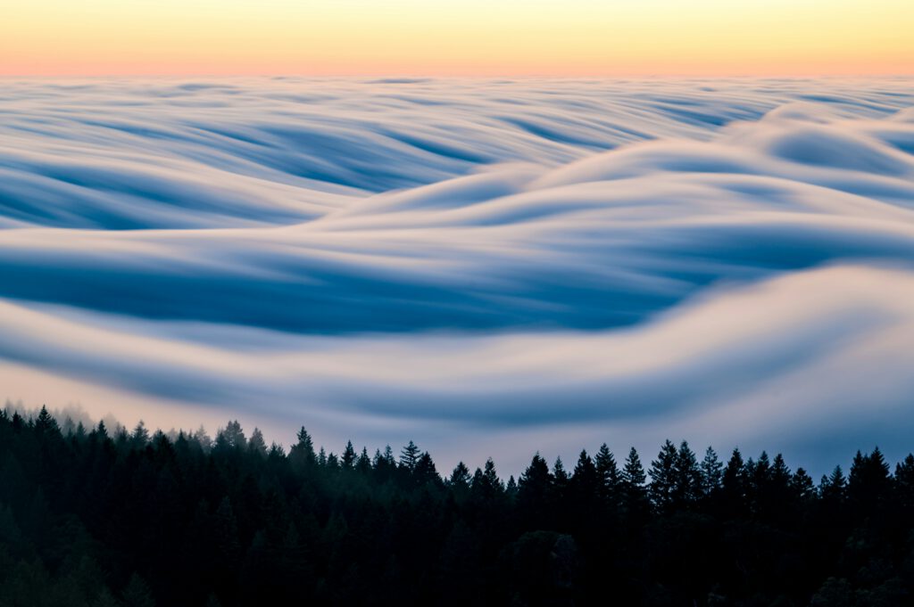 tree tops of pine trees and lots of clouds lake looks lake waves of the ocean. picture of blog post about trecena, 13-day forecast of mayan astrology