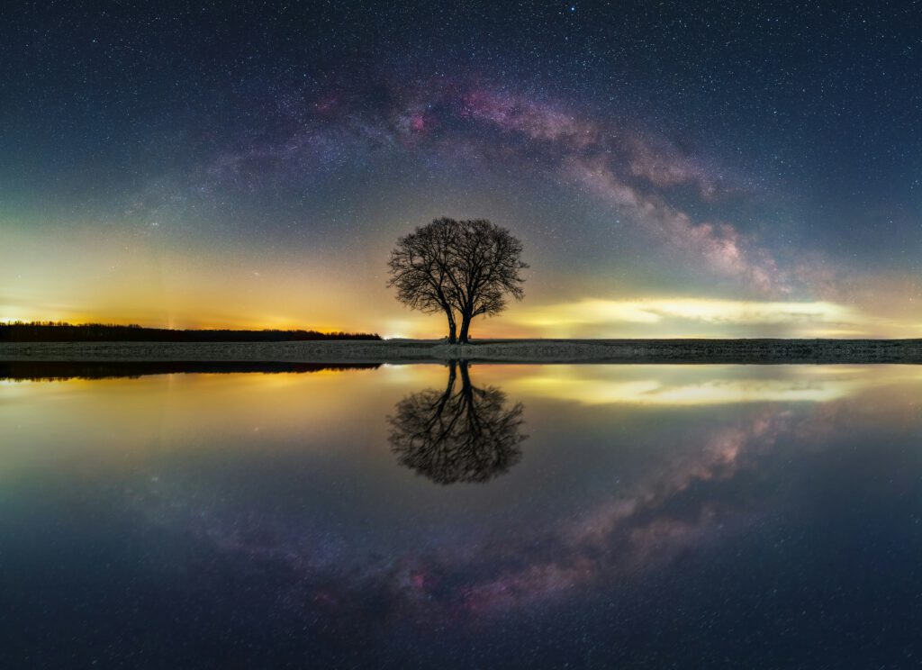 a tree that's mirrored exactly in the water in front of it, picture of blog post about trecena, 13-day forecast of mayan astrology