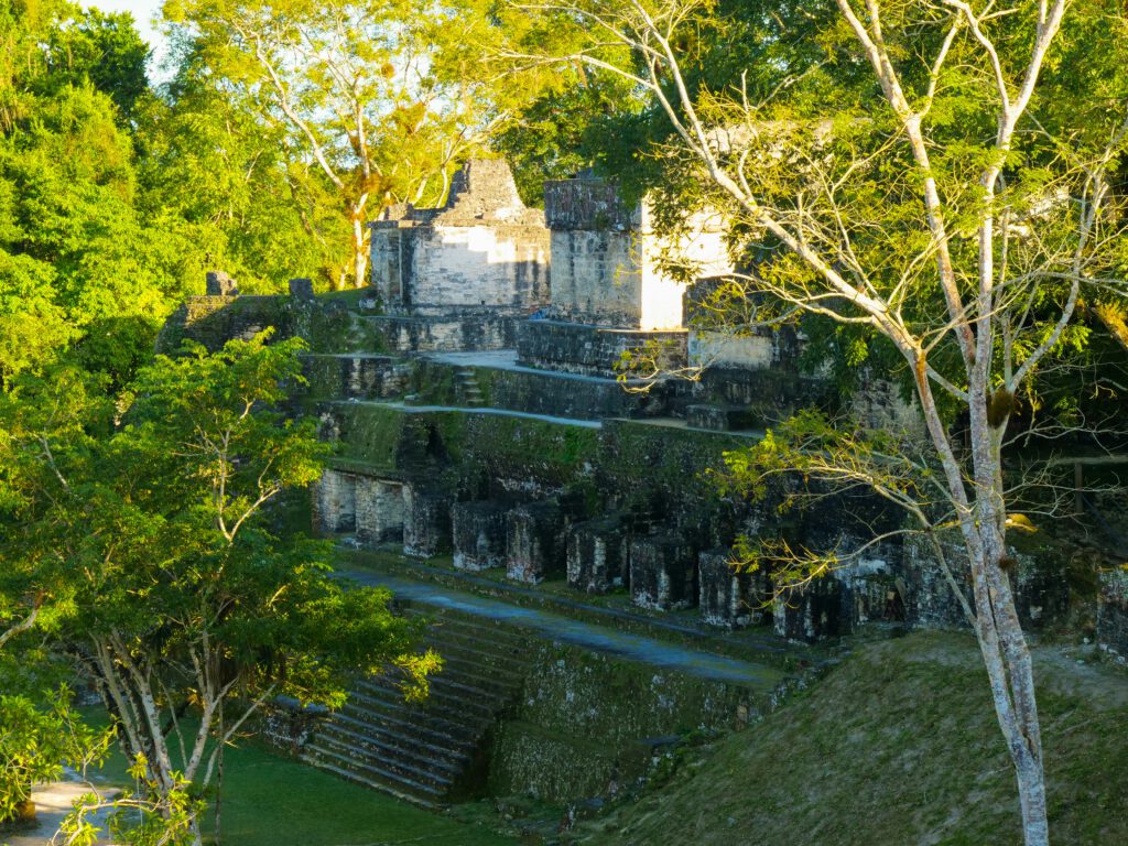 a mayan archeological temple site surrounded by nature, trees, and grass in guatemala
